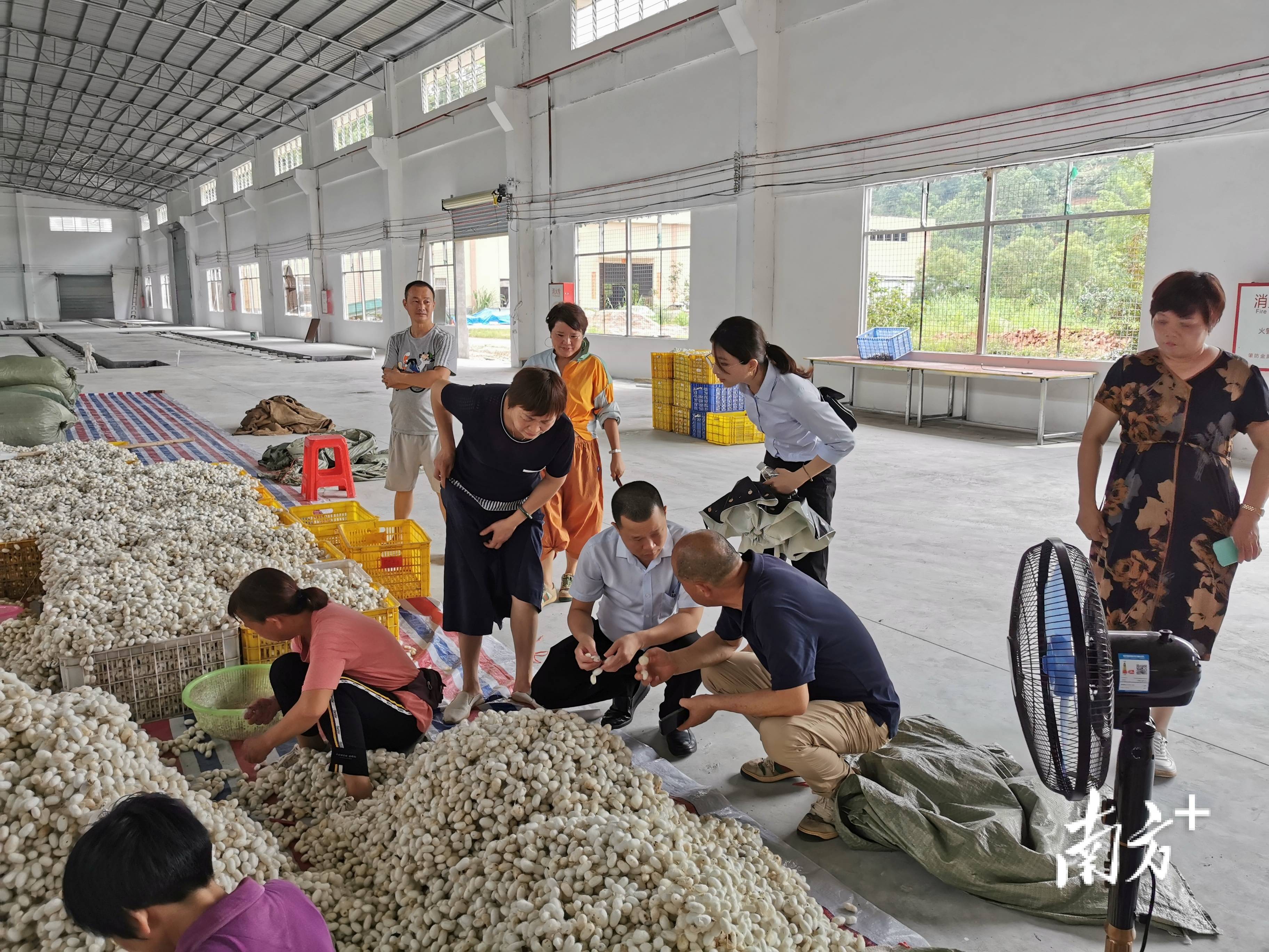 中行云浮分行：多元金融服务<strong></p>
<p>金融服务</strong>，助力乐享生活圆梦云浮 丨新市民金融服务⑤