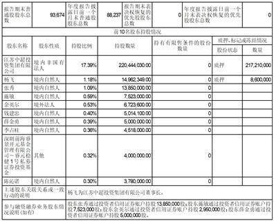 江苏中超控股股份有限公司2022年度报告摘要