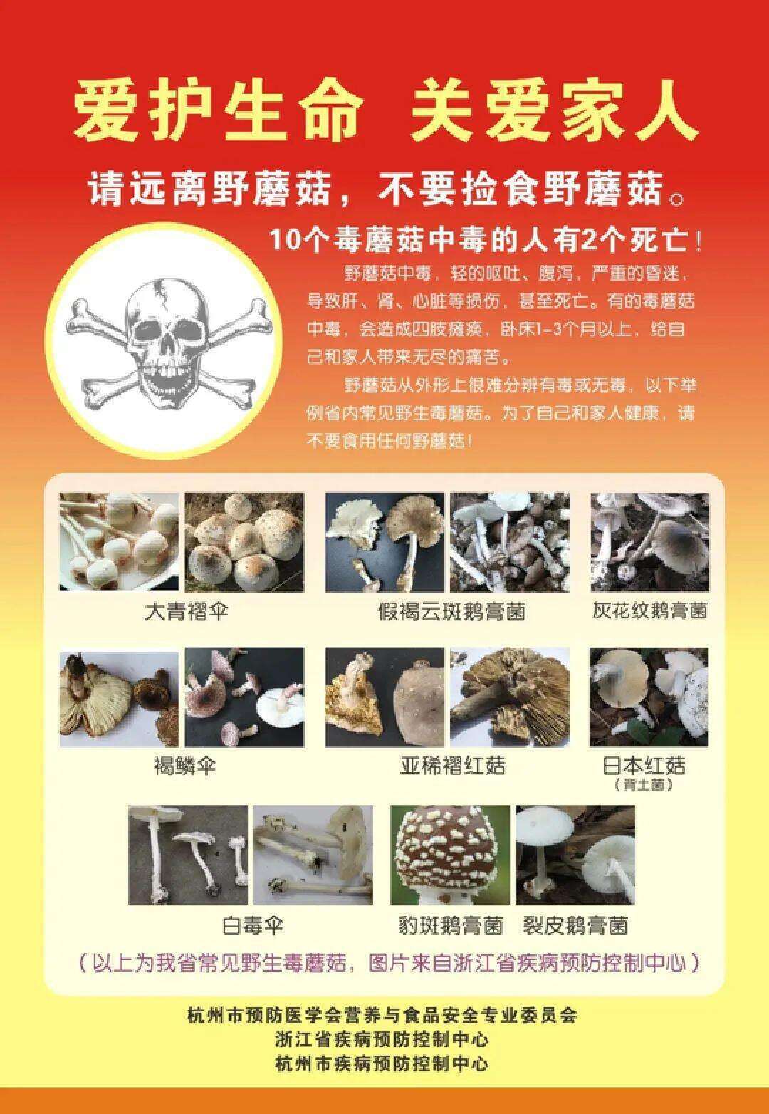 云南姑娘今年在杭州采了200斤鸡枞菌<strong></p>
<p>门锁</strong>！专家提醒→