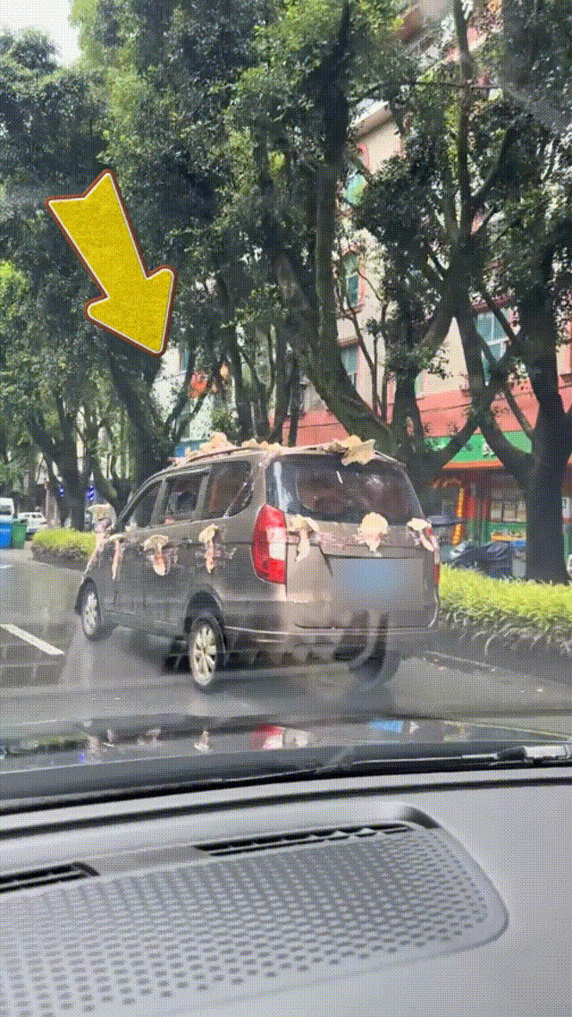 男子驾驶“鸡枞战车”满街跑<strong></p>
<p>门锁</strong>，交警紧急叫停！