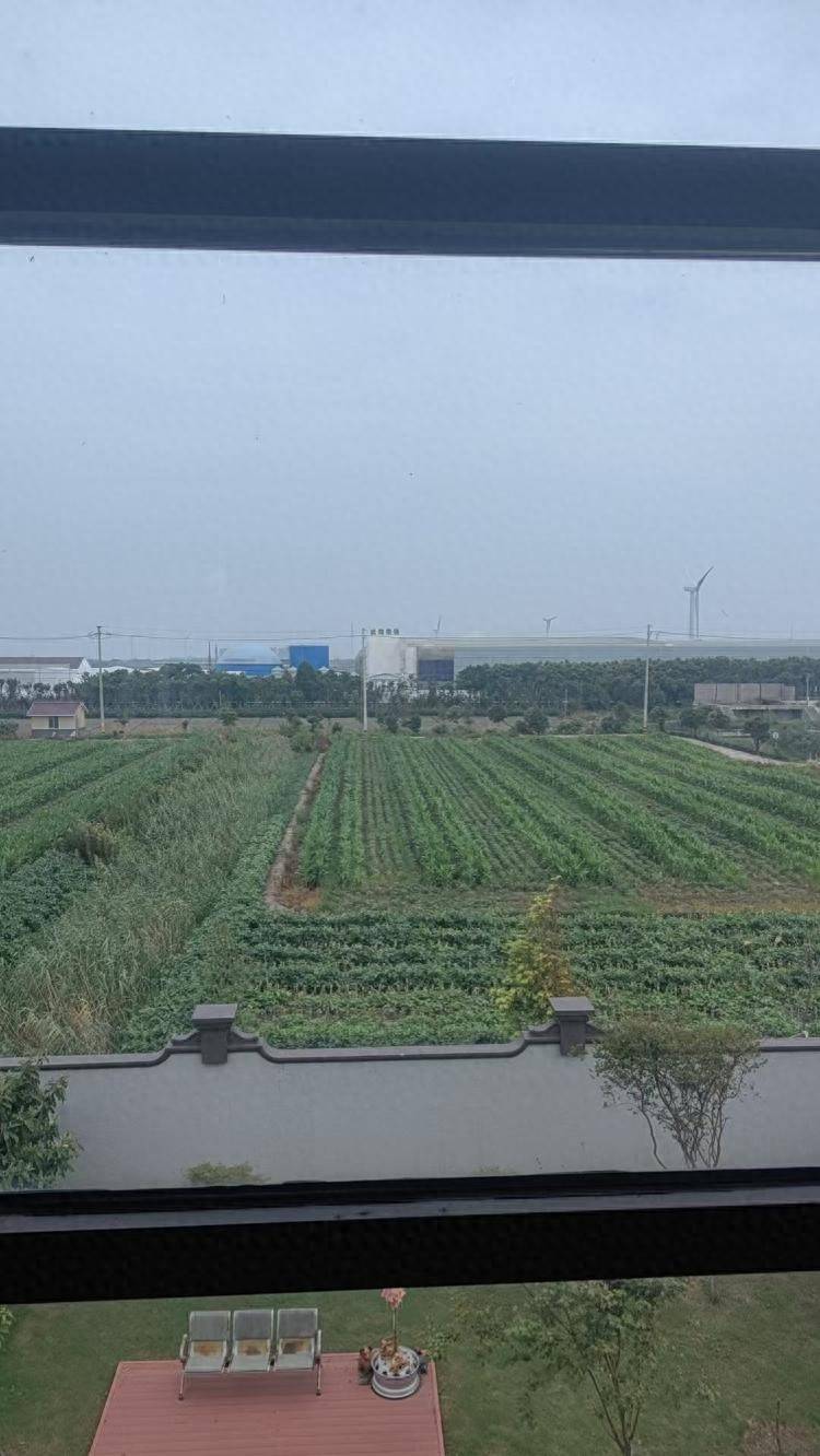 江苏启东一养猪场建在居民区附近臭味熏天被举报<strong></p>
<p>腾讯股票</strong>，进展：猪场减产，建设系承诺审批制