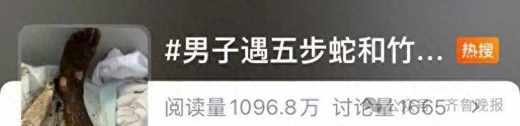 安徽宣城一男子走路玩手机<strong></p>
<p>中芯国际股票</strong>，一脚踩中打架的竹叶青和五步蛇，被俩毒蛇咬3口！医院：暂无生命危险，正在治疗