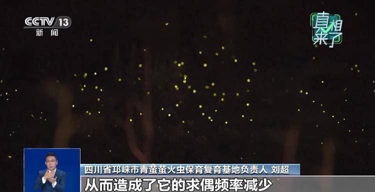 网传萤火虫濒临灭绝<strong></p>
<p>格力电器股票</strong>，是真的吗？