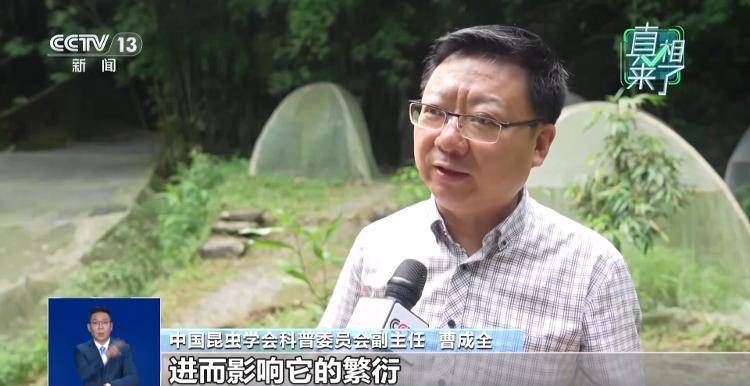 网传萤火虫濒临灭绝<strong></p>
<p>格力电器股票</strong>，是真的吗？
