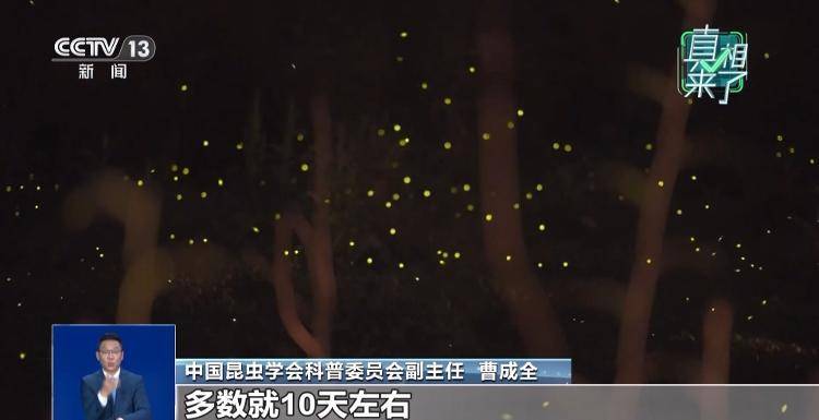 网传萤火虫濒临灭绝<strong></p>
<p>格力电器股票</strong>，是真的吗？