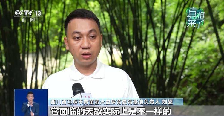 网传萤火虫濒临灭绝<strong></p>
<p>格力电器股票</strong>，是真的吗？