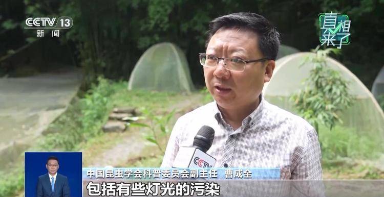 网传萤火虫濒临灭绝<strong></p>
<p>格力电器股票</strong>，是真的吗？