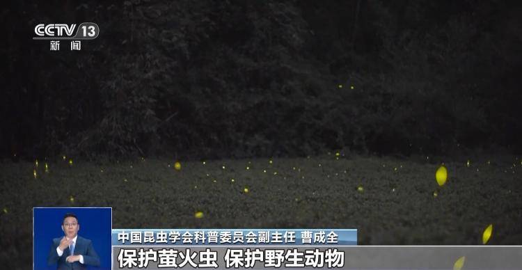 网传萤火虫濒临灭绝<strong></p>
<p>格力电器股票</strong>，是真的吗？