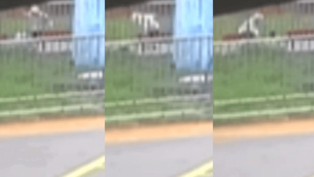 “44秒31刀”<strong></p>
<p>汤姆猫股票</strong>，台湾残忍情杀案曝光：多次寻求复合被拒，17岁少年网购长刀当众杀害21岁前女友，已被逮捕
