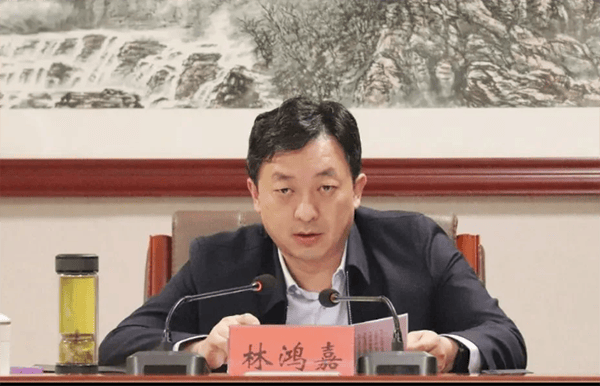 鹤壁市委常委、常务副市长林鸿嘉落马<strong></p>
<p>新浪财经股票首页行情</strong>，一个月前被罢免