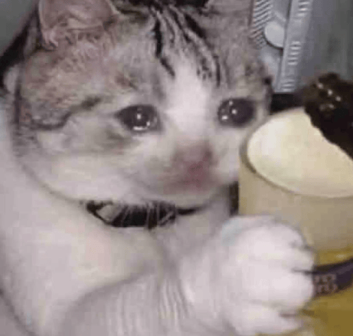 “不亚于春节回家”！凌晨5点<strong></p>
<p>中国石油股票</strong>，深圳有人已经堵在路上……