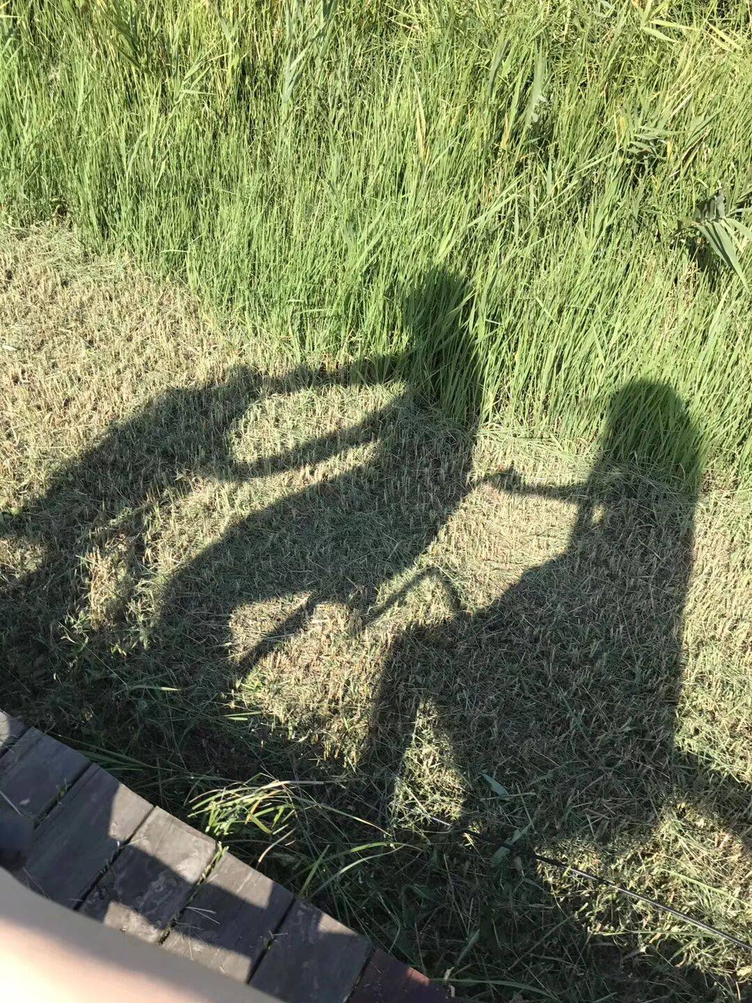 纸质火车票退场<strong></p>
<p>中国石油股票</strong>,每道折痕里都藏着远方、爱情与山河记忆