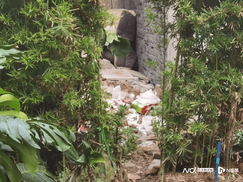 暗访回头看:广州口袋公园乱象整改成效如何<strong></p>
<p>中国石油股票</strong>?记者再探