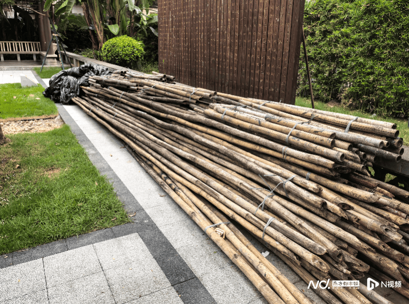 暗访回头看:广州口袋公园乱象整改成效如何<strong></p>
<p>中国石油股票</strong>?记者再探