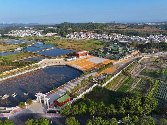 这个经济大省<strong></p>
<p>中国石油股票</strong>,为何多地镇街撤并?