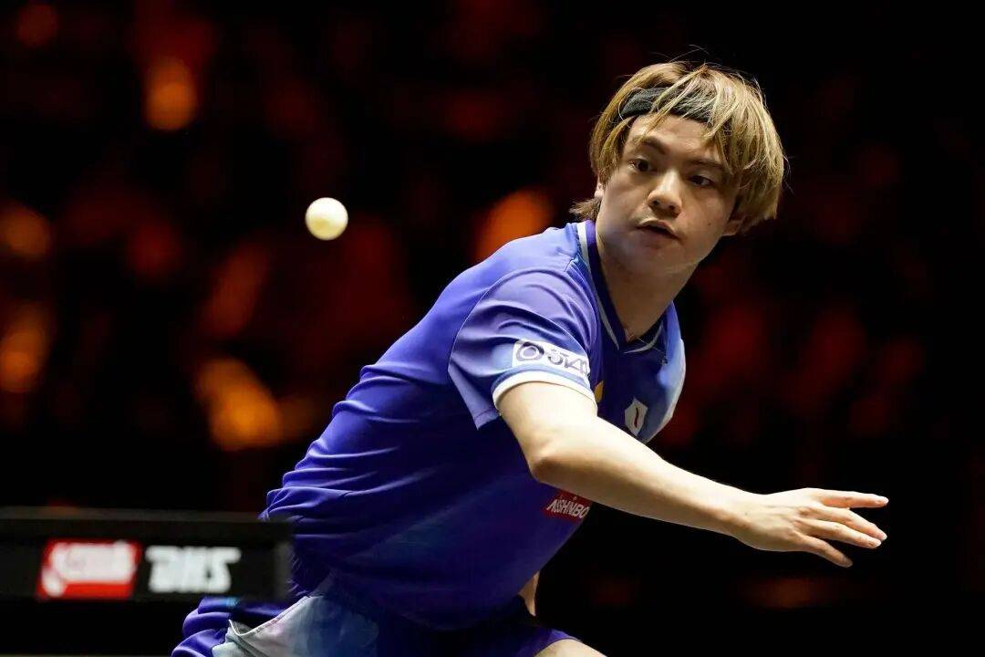 王艺迪完胜桥本<strong></p>
<p>百度股票</strong>,向鹏挺进8强 | WTT中国大满贯单打