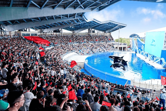 第36届上海旅游节闭幕<strong></p>
<p>中国银行股票</strong>,接待市民游客人数和旅游消费交易额均刷新纪录