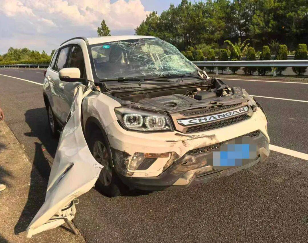 司机强行变道酿大祸<strong></p>
<p>以岭药业股票</strong>,反诬赖对方:“我要是撒谎就天打雷劈!”