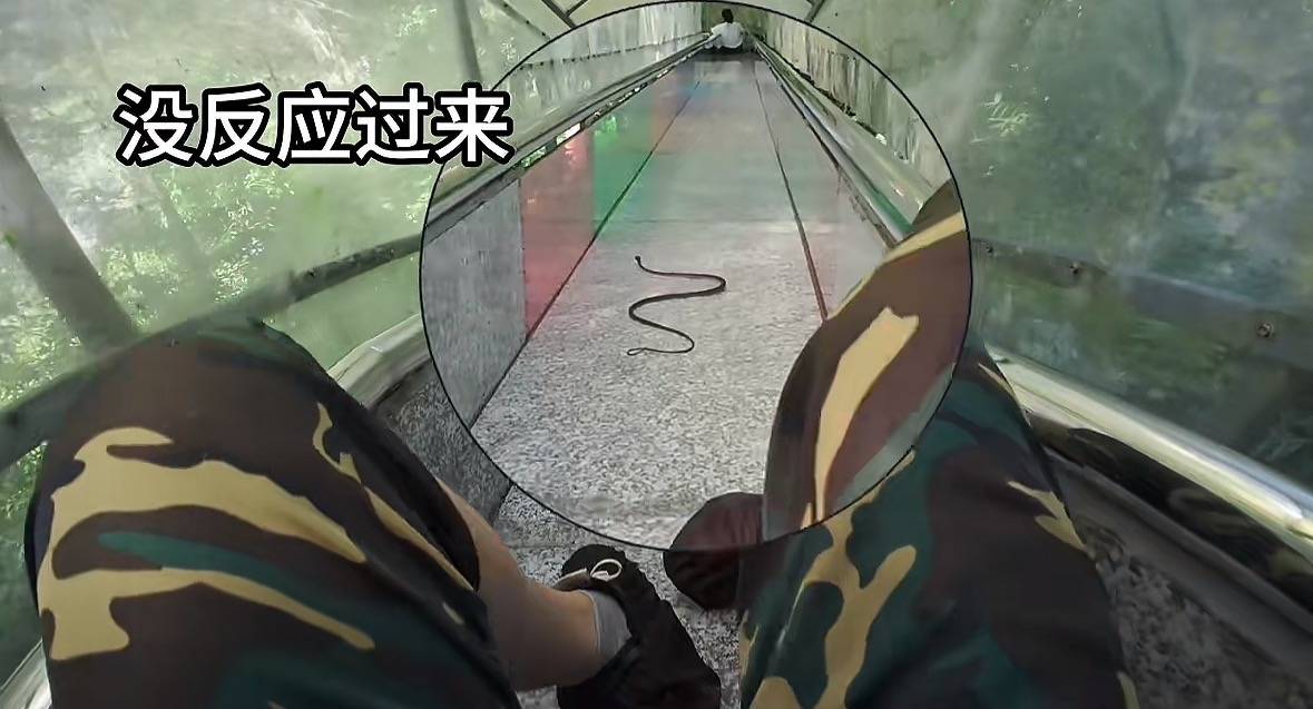 游客称在广西丹炉山滑道遇蛇<strong></p>
<p>360股票</strong>,景区致歉:这么多年就这一次,每年都做防蛇处理