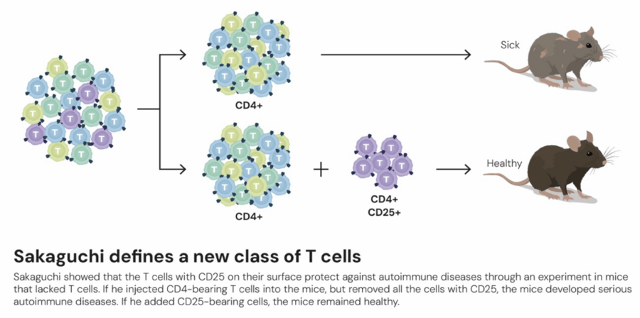 这个诺奖迟到了30年<strong></p>
<p>360股票</strong>!三位科学家揭示免疫系统如何避免“自相残杀”