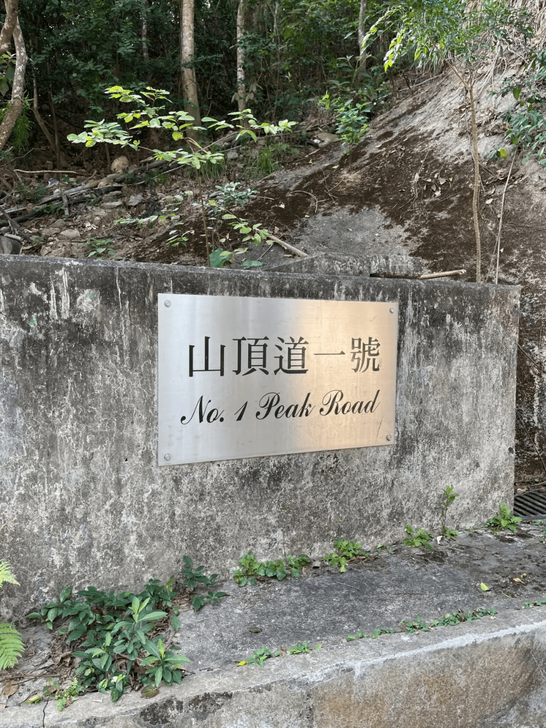香港顶级豪宅“山顶道1号”发生命案<strong></p>
<p>紫金矿业股票</strong>,31岁菲佣在房内自尽;金庸夫妇曾居住11年,市价超5.6亿港元或成香港最贵凶宅