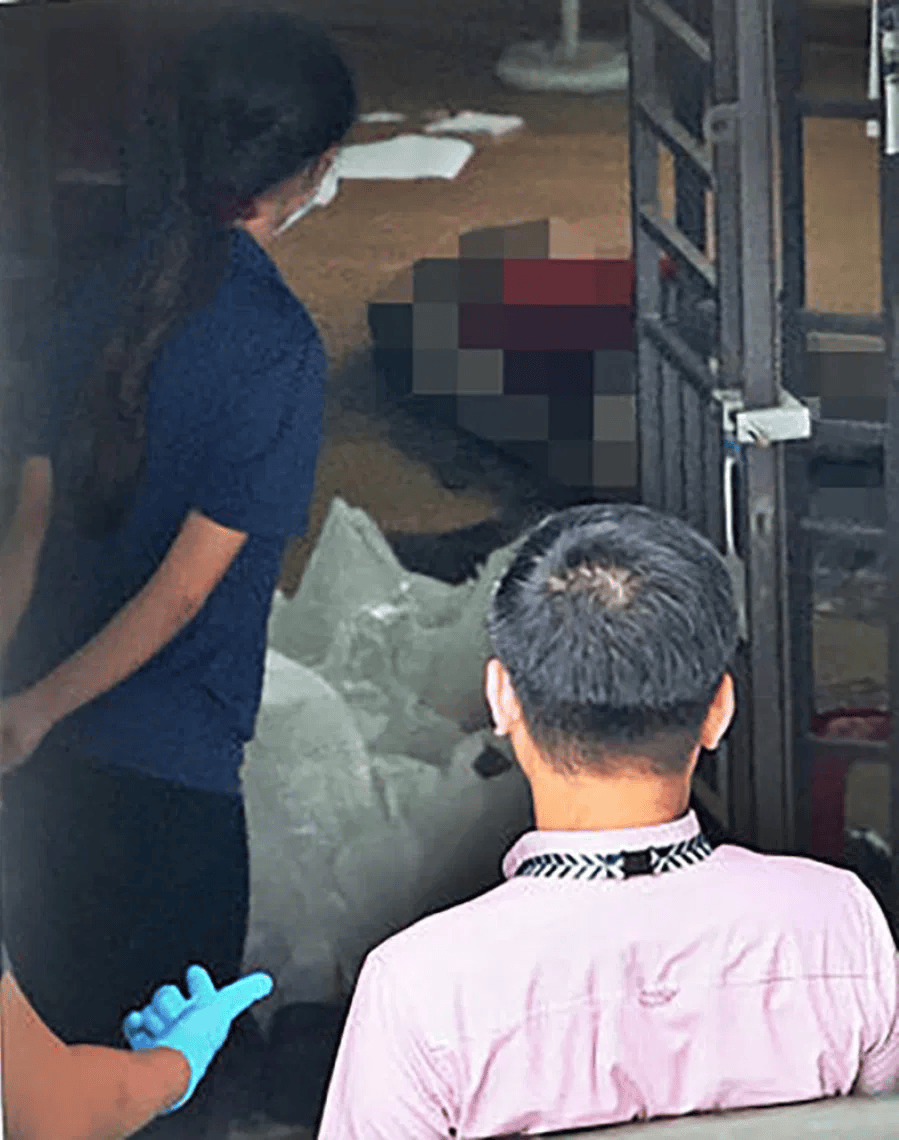 新加坡现双尸案:父亲成白骨<strong></p>
<p>紫金矿业股票</strong>,剑桥博士女儿疑饿死,一家来自东北