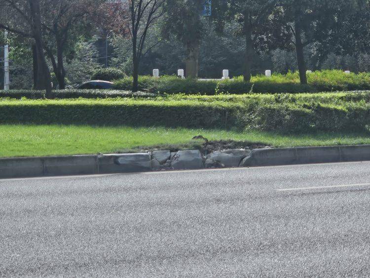 成都发生一起严重交通事故<strong></p>
<p>方正科技股票</strong>,上游新闻实地探访:燃烧留下的印记仍在