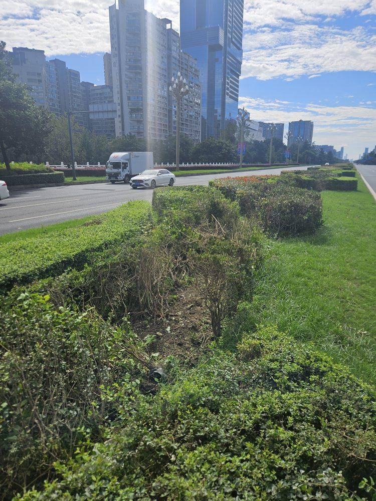 成都发生一起严重交通事故<strong></p>
<p>方正科技股票</strong>,上游新闻实地探访:燃烧留下的印记仍在