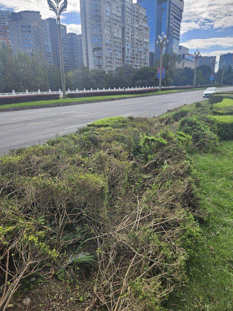 成都发生一起严重交通事故<strong></p>
<p>方正科技股票</strong>,上游新闻实地探访:燃烧留下的印记仍在