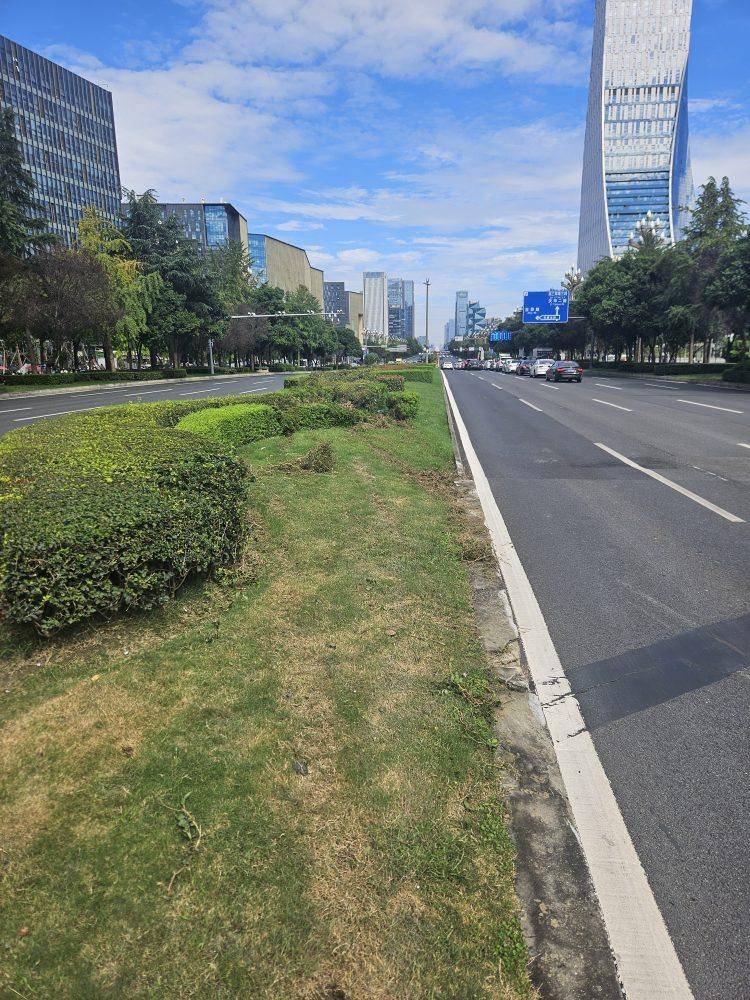 成都发生一起严重交通事故<strong></p>
<p>方正科技股票</strong>,上游新闻实地探访:燃烧留下的印记仍在