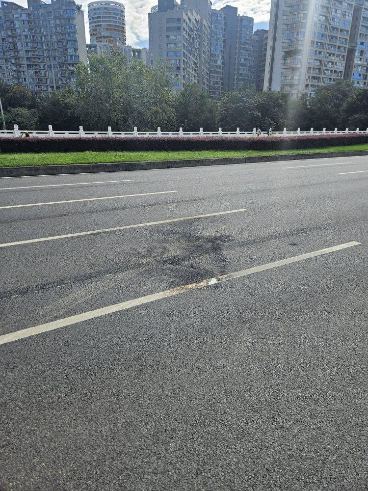 成都发生一起严重交通事故<strong></p>
<p>方正科技股票</strong>,上游新闻实地探访:燃烧留下的印记仍在