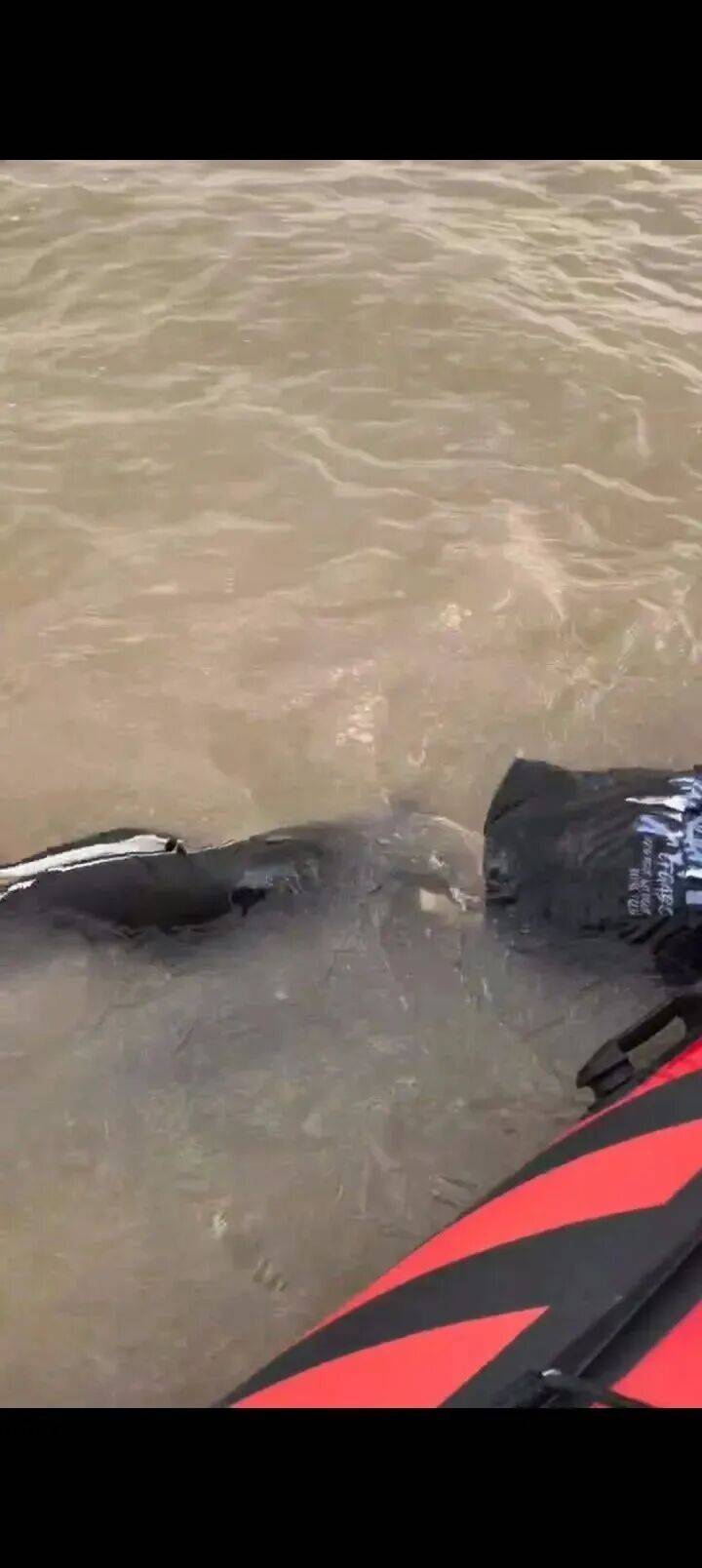 230斤重小伙酒后落水<strong></p>
<p>方正科技股票</strong>,漂浮7小时终获救……