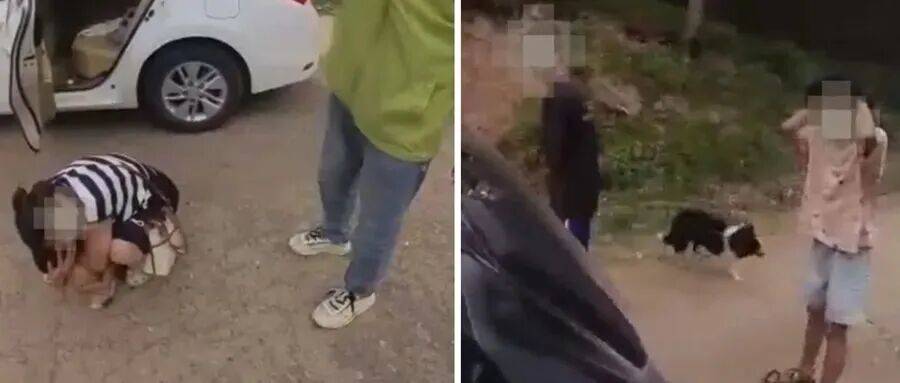 深圳一市民突遭马蜂围袭!已进入高发期<strong></p>
<p>方正科技股票</strong>,千万别招惹!