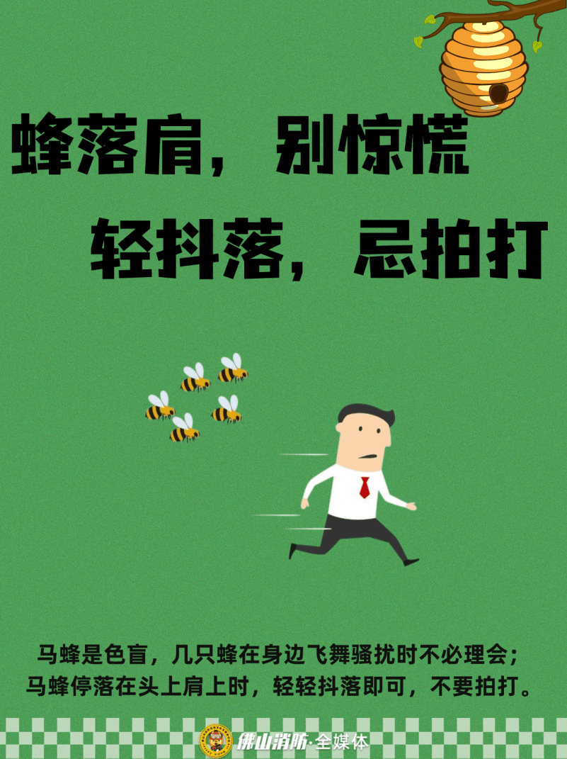 深圳一市民突遭马蜂围袭!已进入高发期<strong></p>
<p>方正科技股票</strong>,千万别招惹!