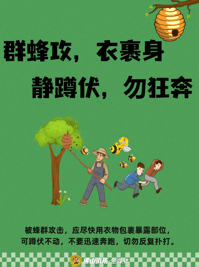 深圳一市民突遭马蜂围袭!已进入高发期<strong></p>
<p>方正科技股票</strong>,千万别招惹!