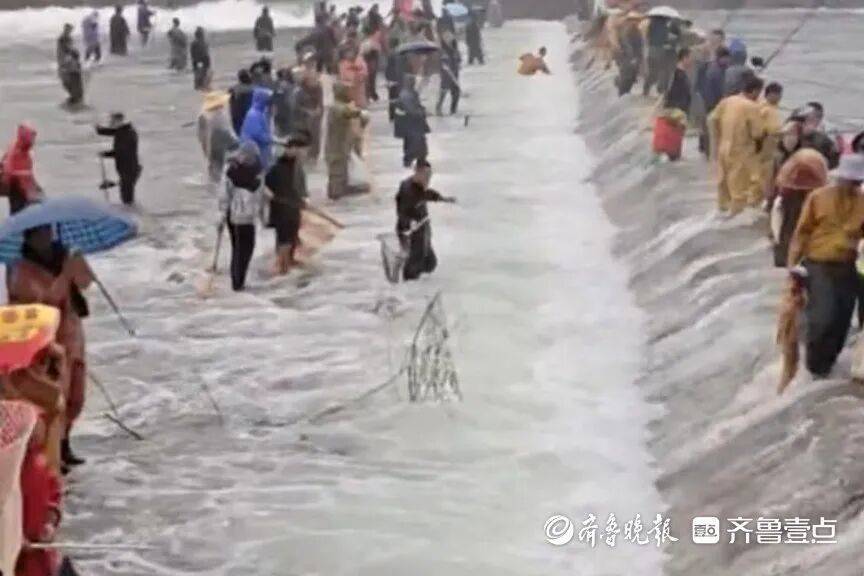 “鱼多得数不过来<strong></p>
<p>机器人股票</strong>,一网子下去能捞好几条”济南锦绣川水库开闸放水,大量鲢鱼被冲出,工作人员:禁止捕捞!
