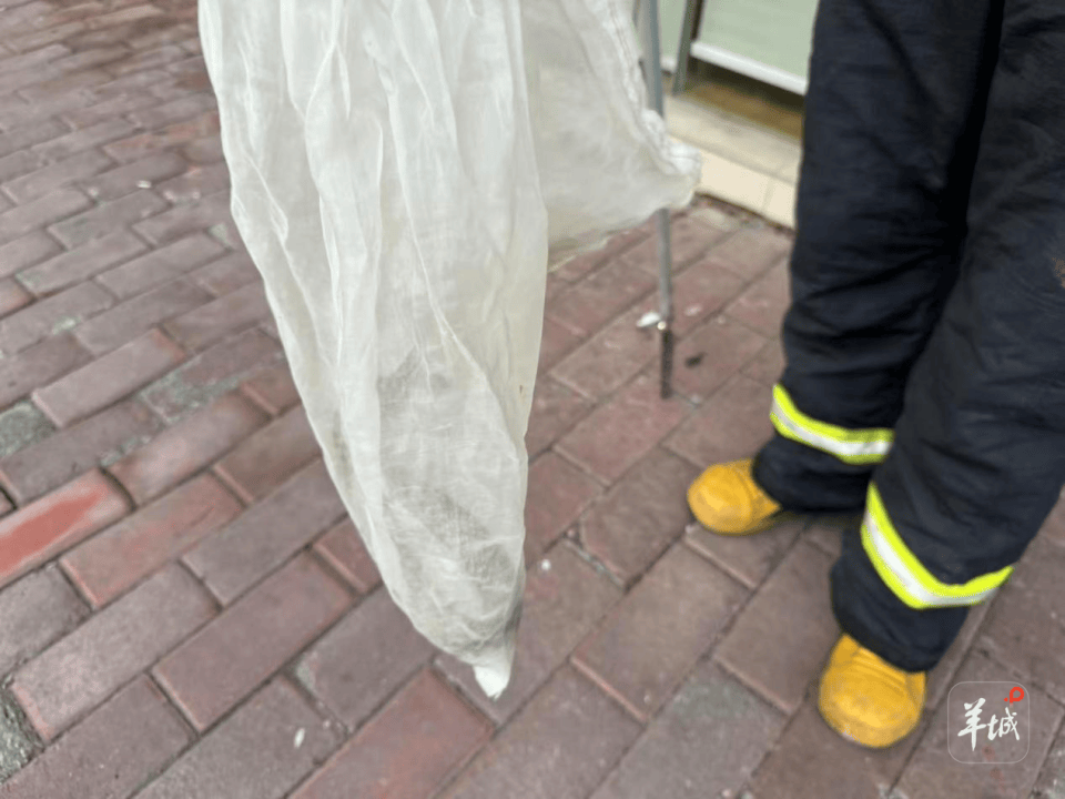 广州一小区蛇患频发:已抓超60条但未探测到蛇窝位置<strong></p>
<p>机器人股票</strong>,多方介入