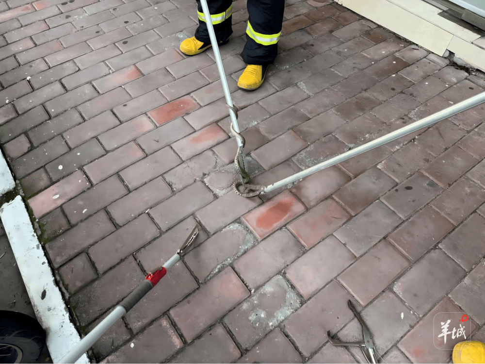 广州一小区蛇患频发:已抓超60条但未探测到蛇窝位置<strong></p>
<p>机器人股票</strong>,多方介入