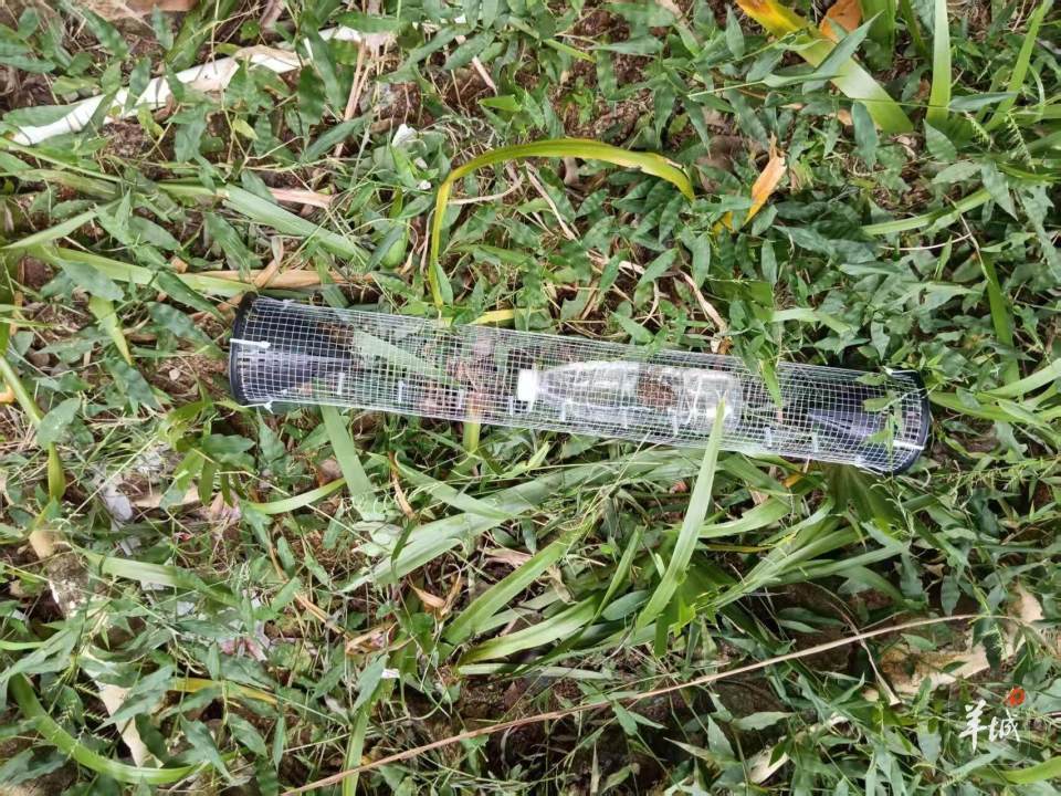 广州一小区蛇患频发:已抓超60条但未探测到蛇窝位置<strong></p>
<p>机器人股票</strong>,多方介入