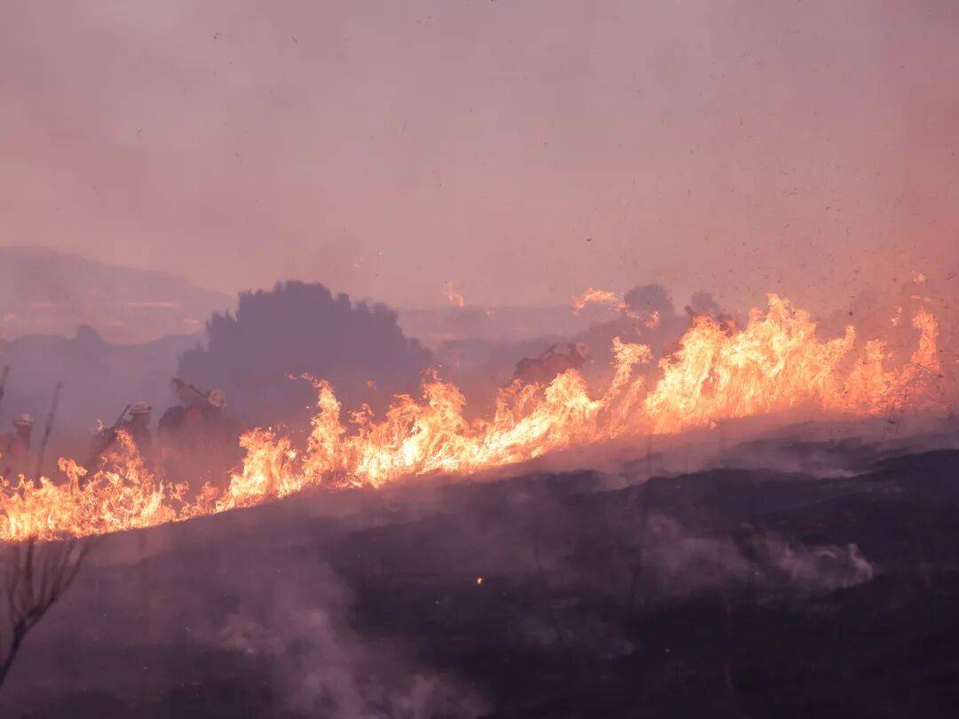 上一次出现现在的状况<strong></p>
<p>京东股票</strong>,地球上尚无人类……