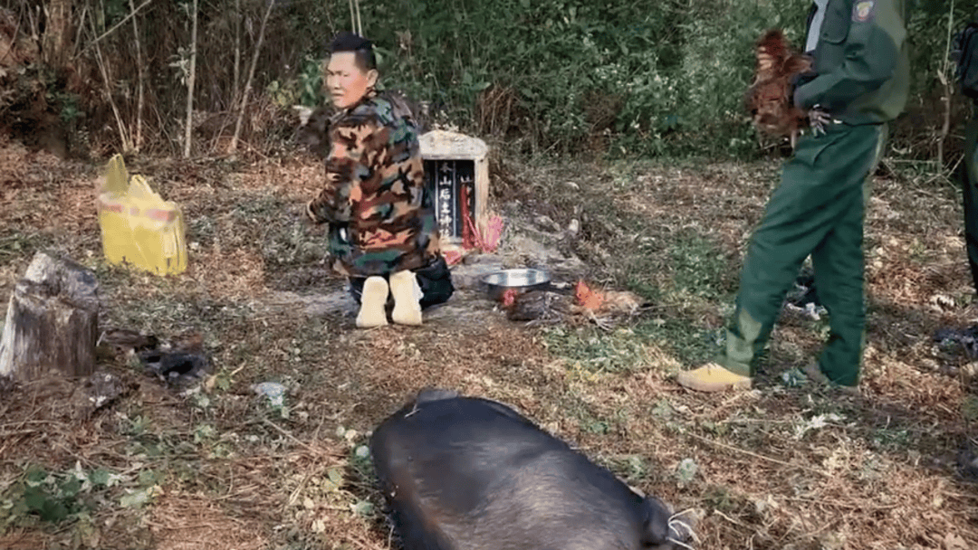 公安机关侦破缅北果敢徐老发犯罪集团专案<strong></p>
<p>谷歌股票</strong>,详情披露!