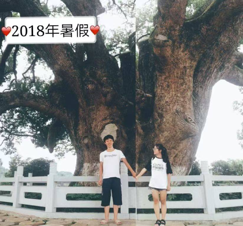 岳阳情侣连续9年在家乡千年古樟树下合影<strong></p>
<p>谷歌股票</strong>,今年国庆终修正果:希望爱情像古树一样长久