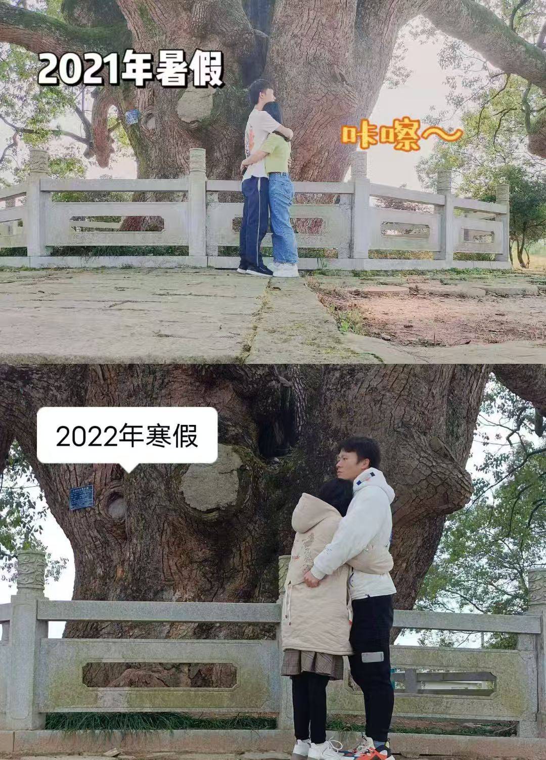 岳阳情侣连续9年在家乡千年古樟树下合影<strong></p>
<p>谷歌股票</strong>,今年国庆终修正果:希望爱情像古树一样长久