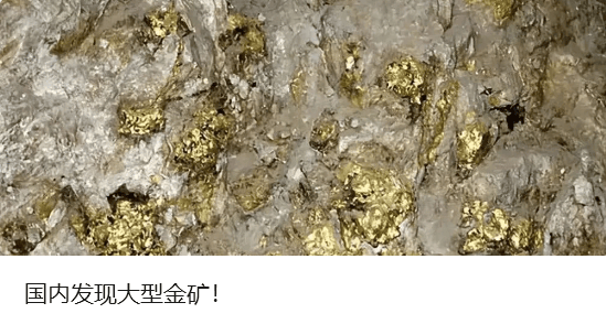 黄金<strong></p>
<p>谷歌股票</strong>,突然跳水!