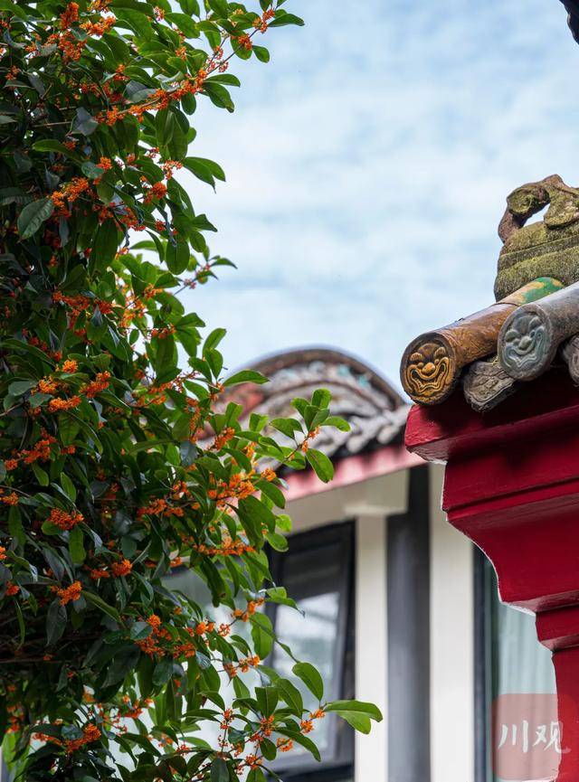 成都桂花又开了<strong></p>
<p>鲁抗医药股票</strong>?原来是因为……