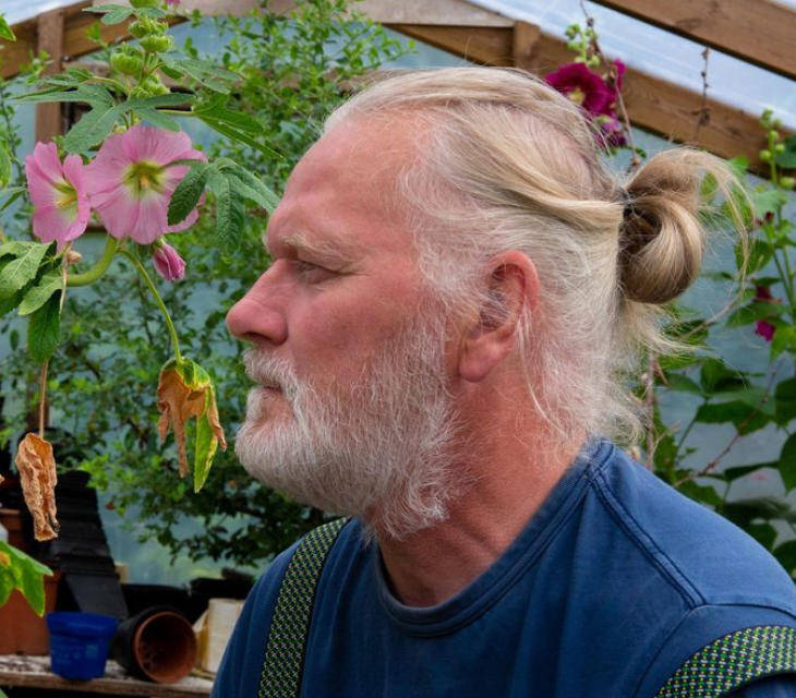 两只雌蚊和一只雄蚊被发现<strong></p>
<p>上海贝岭股票</strong>,全球最后一个无蚊国冰岛“沦陷”