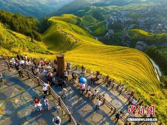 金秋<strong></p>
<p>上海贝岭股票</strong>,广西的梯田一点不输!