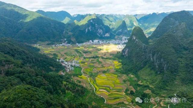 金秋<strong></p>
<p>上海贝岭股票</strong>,广西的梯田一点不输!