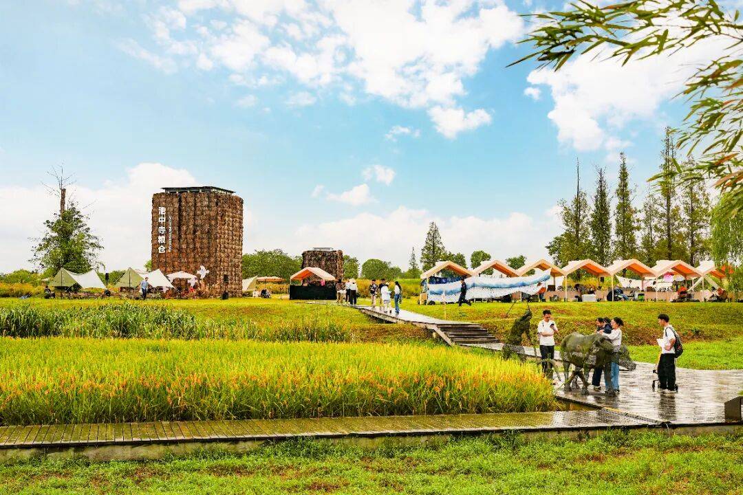 良渚遇“稻”<strong></p>
<p>上海贝岭股票</strong>你 ｜ 秋季活动正当时