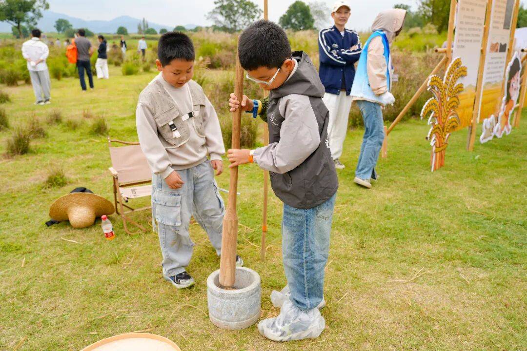 良渚遇“稻”<strong></p>
<p>上海贝岭股票</strong>你 ｜ 秋季活动正当时